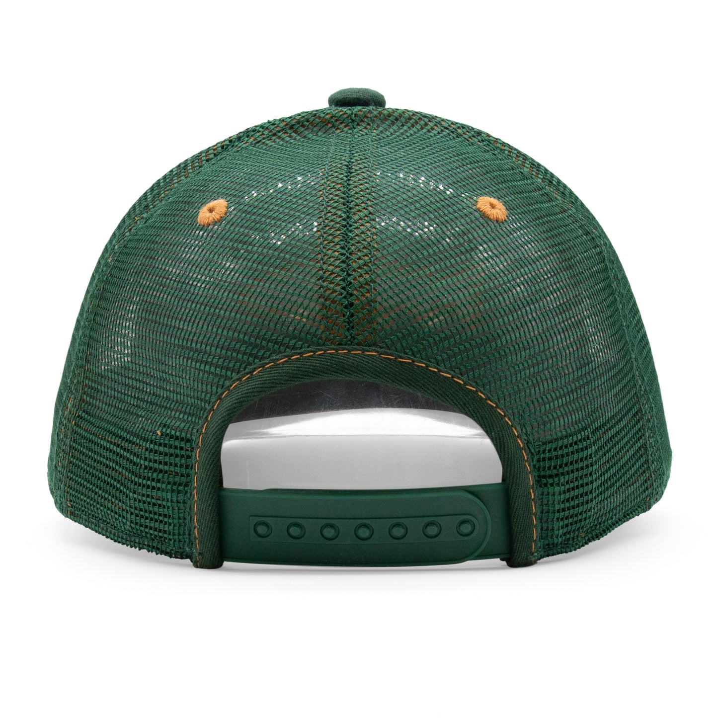 Adult Trout Stream Low Pro Curved Bill Hat - Back