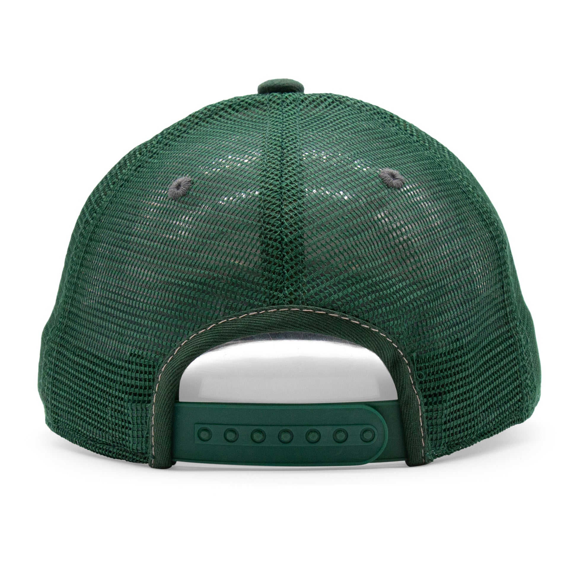 Adult Trout Stream Low Pro Curved Bill Hat - Back