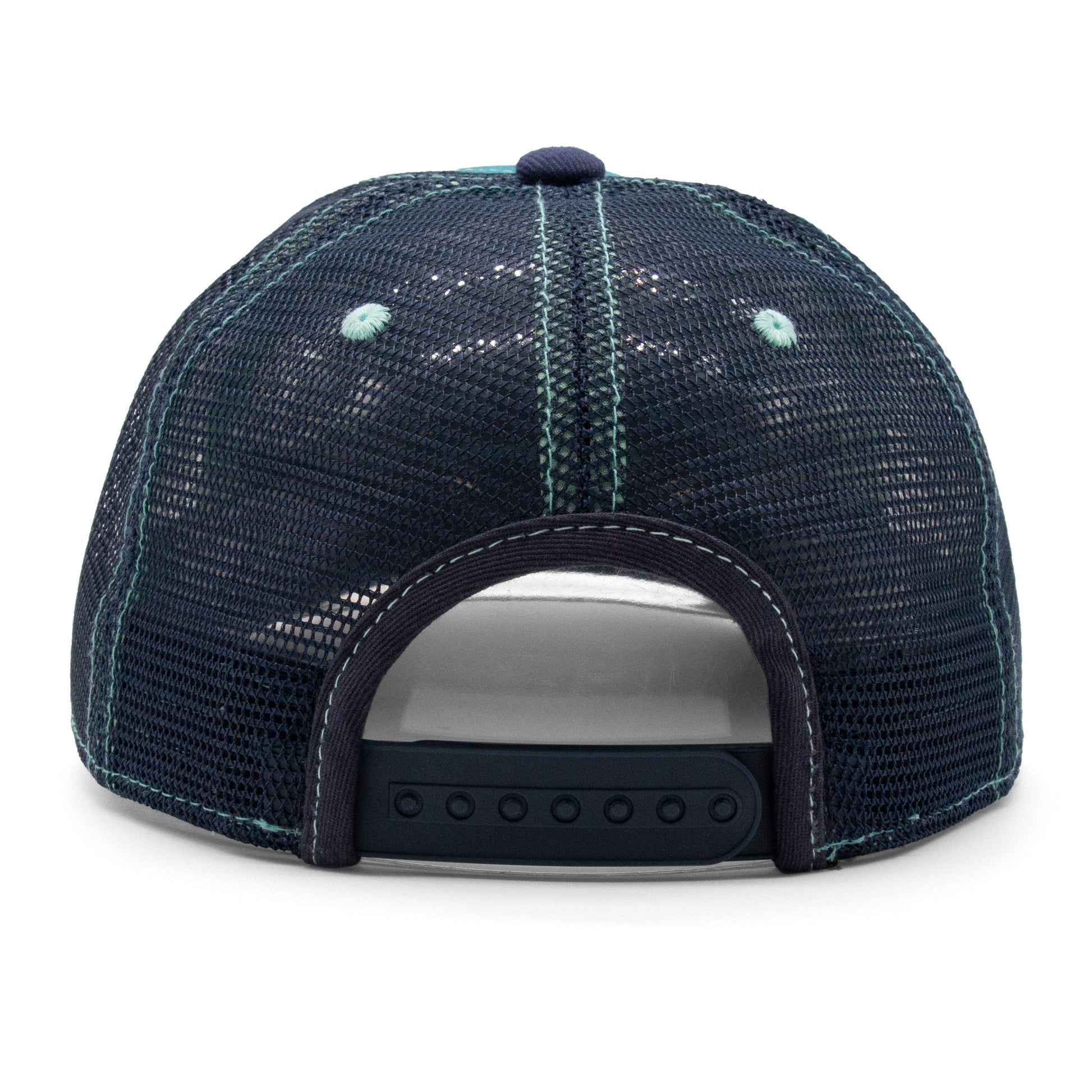 Women's Winter Strokes Low Pro Hat royal back view