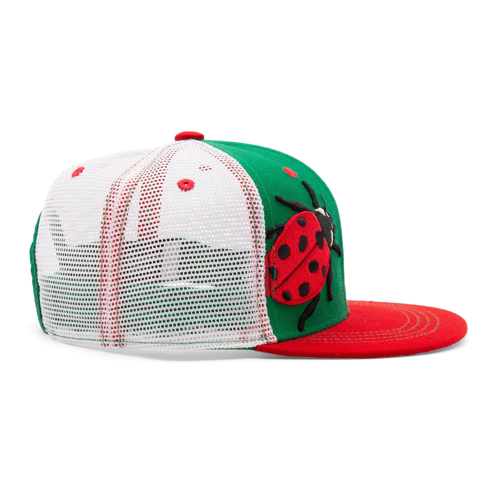 Kids Ladybug Flat Bill Hat royal angled back view