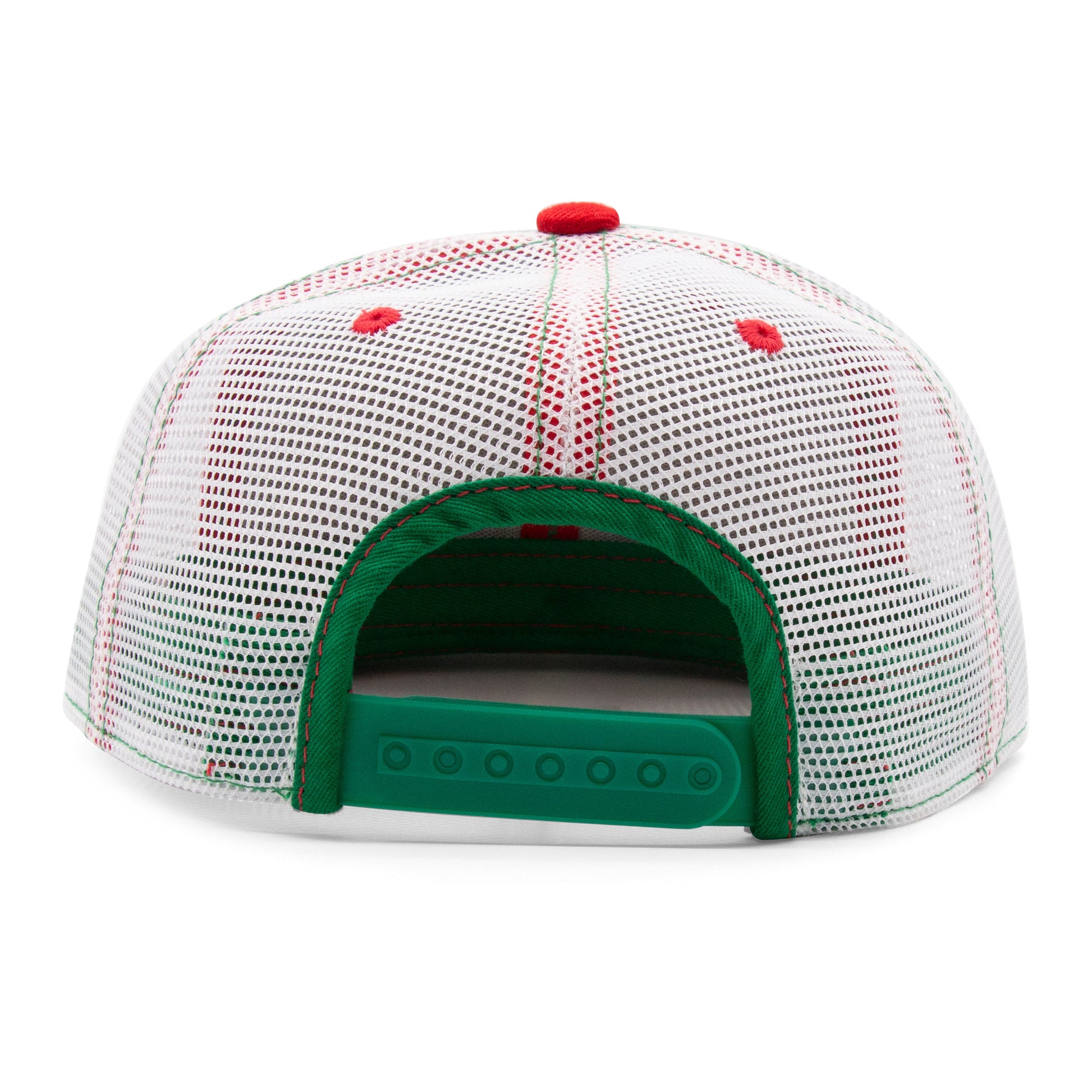 Kids Ladybug Flat Bill Hat royal back view