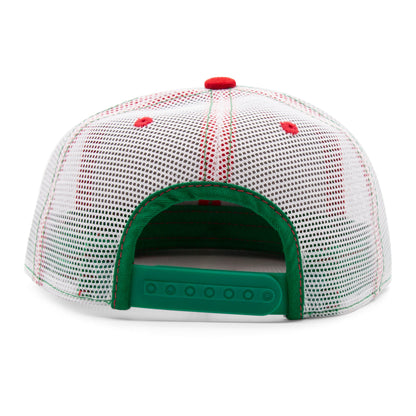 Kids Ladybug Flat Bill Hat royal back view