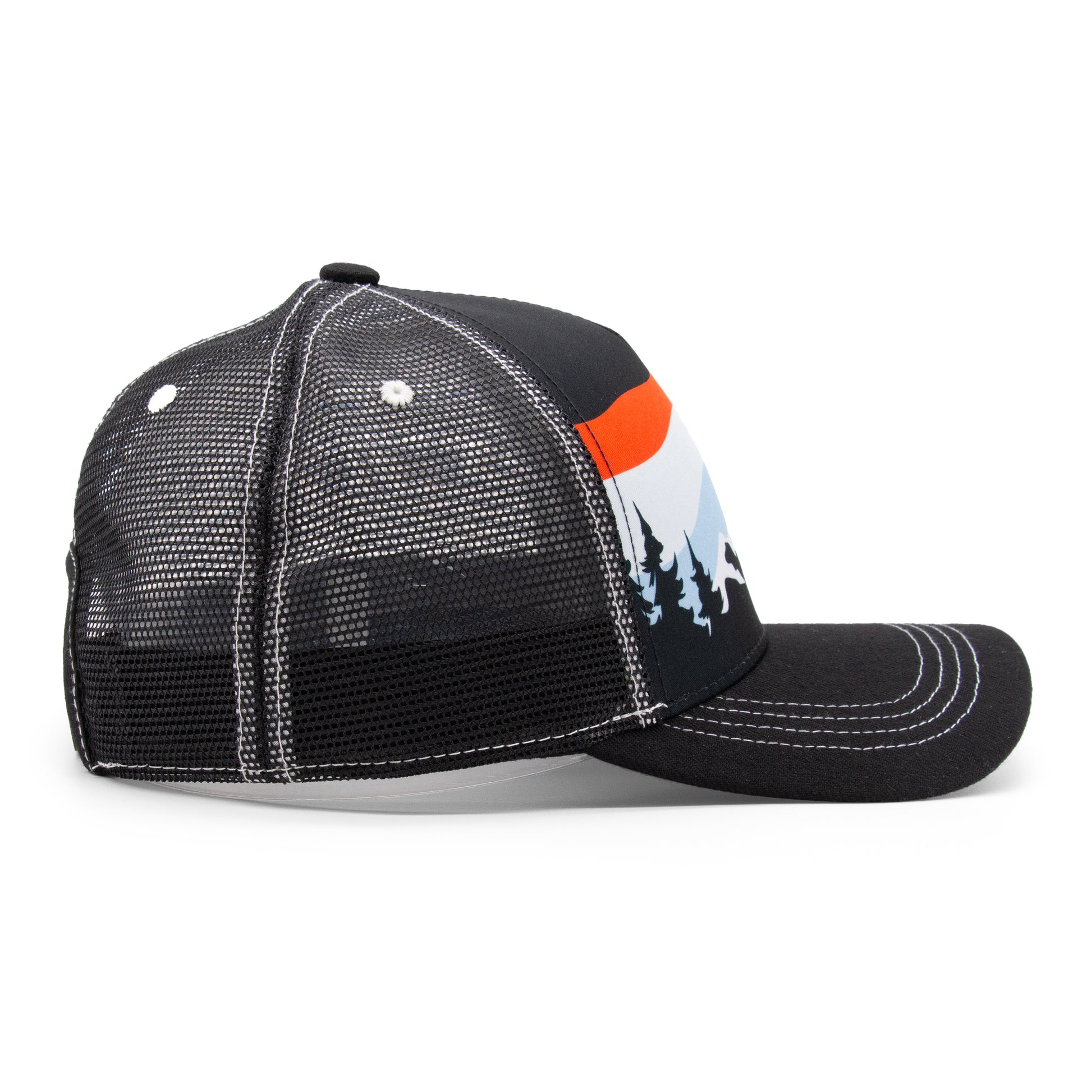 Adult Colorado Tree Tops Low Pro Hat light-blue angled back view