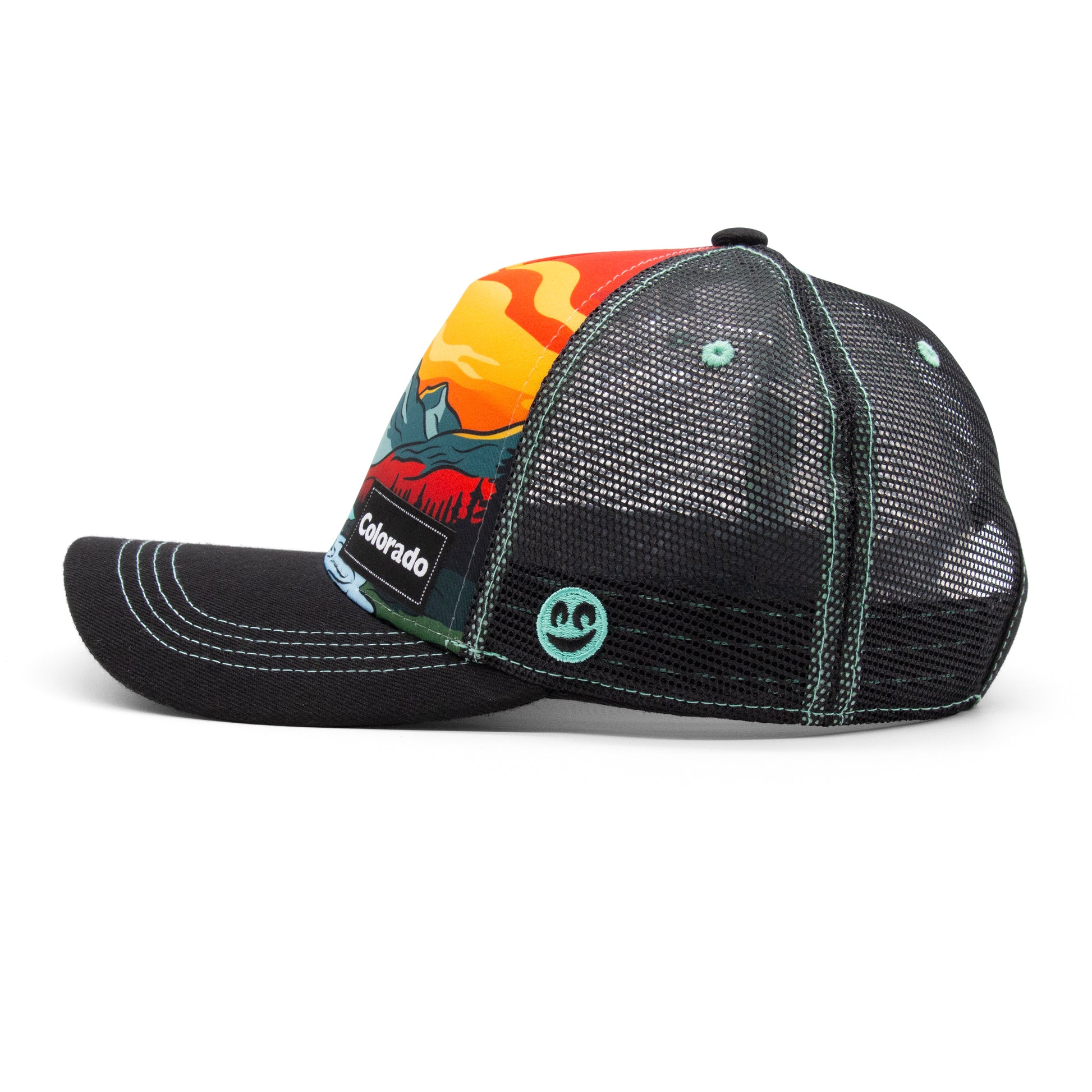 Adult Colorado Summer Strokes Low Pro Hat right side view