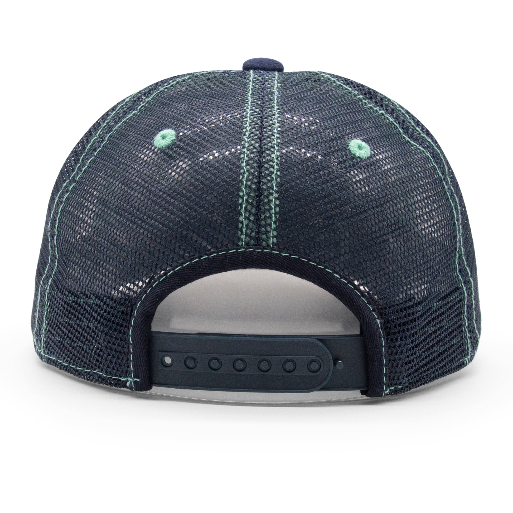 Adult Womens Colorado Winter Strokes Low Pro Hat back view